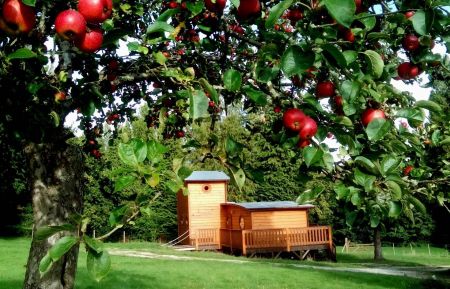 Chalet/BungalowG61052 &Eacute;couves - Orne - photo