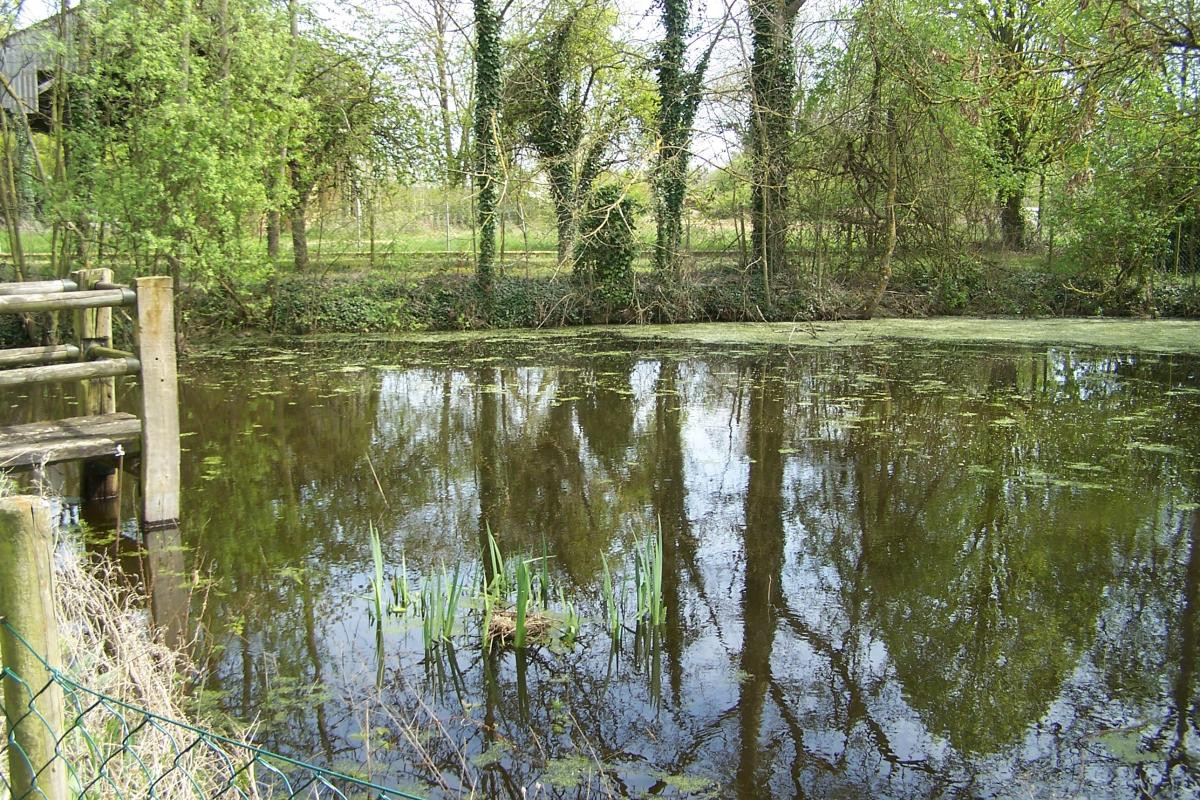photo 38
