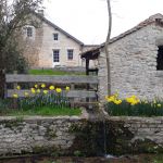 gite - Gîtes de France Le Lavoir fleuri - MERRI - Orne