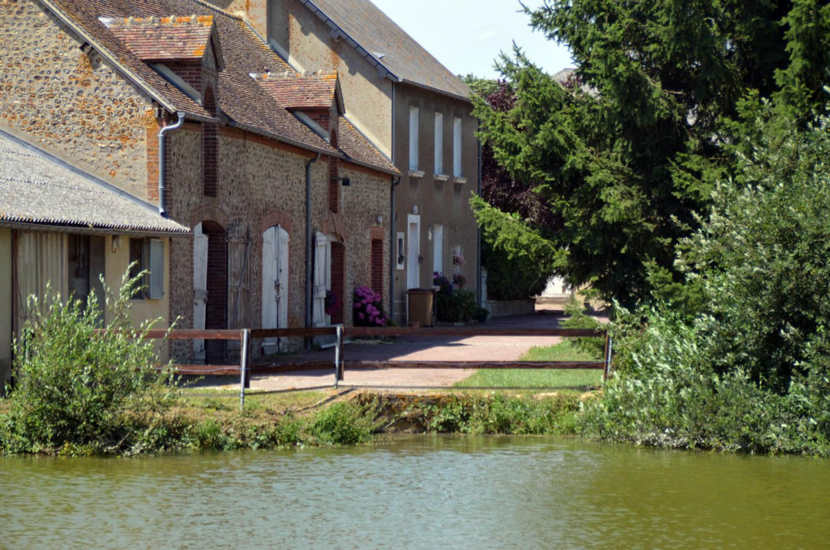 photo 0