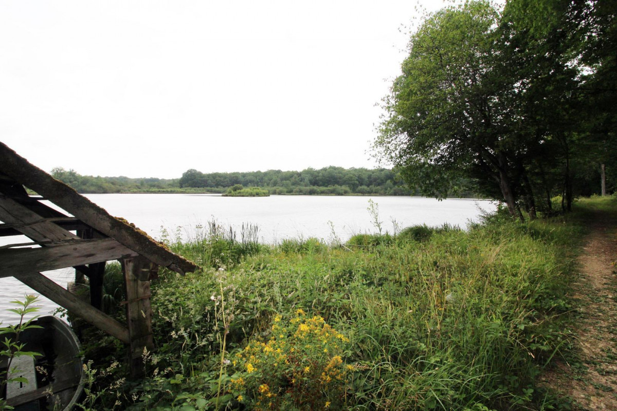 photo 34