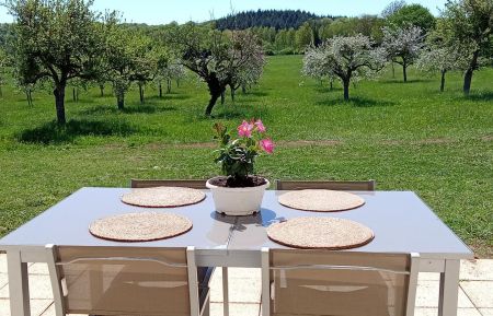 G&icirc;te n&deg;G979 Bailleul - Orne - Salon de jardin face a une superbe vue sur les pommiers en fleurs (photo du 30 avril 2025). possibilit&eacute; d'agrandir la table. 6 chaises disponibles.