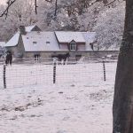 G&icirc;te de Montsifrotte sous la neige avec Usire ( le cheval )
Sibelle ( l'&acirc;nesse)
Vodka ( la biquette )